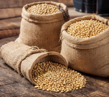Soya